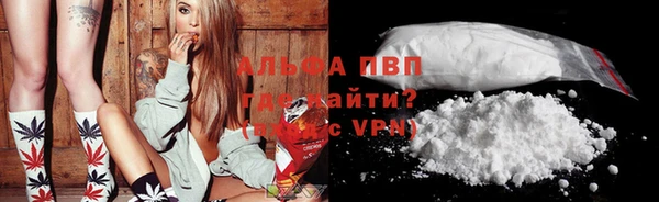 стафф Касимов