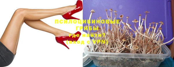 стафф Касимов
