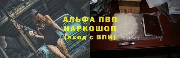 стафф Касимов