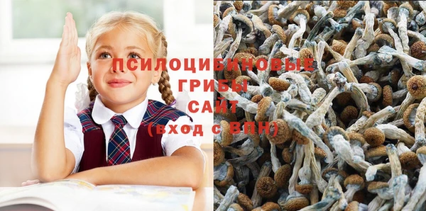 мефедрон мука Карпинск