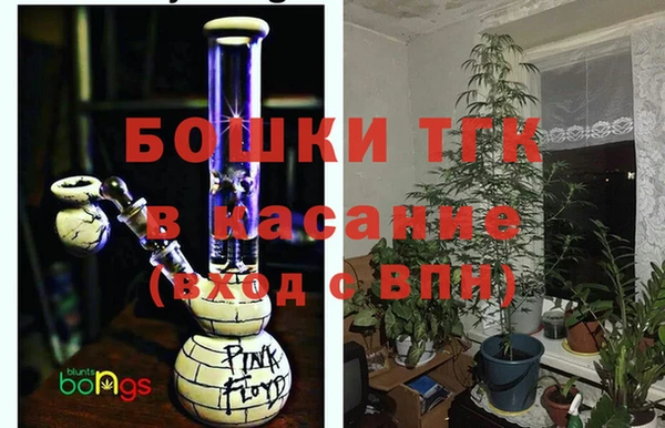 стафф Касимов