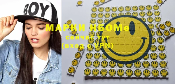 стафф Касимов