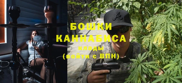 стафф Касимов