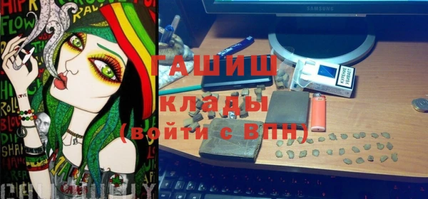 стафф Касимов