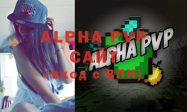 стафф Касимов