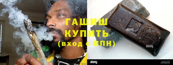 стафф Касимов